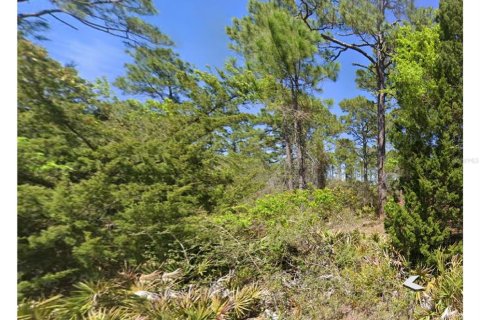 Land in Perry, Florida № 1819475 - photo 5