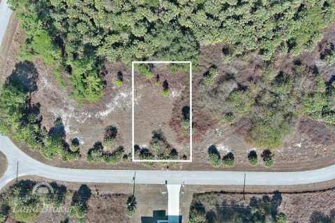 Land in North Port, Florida № 2163953 - photo 2