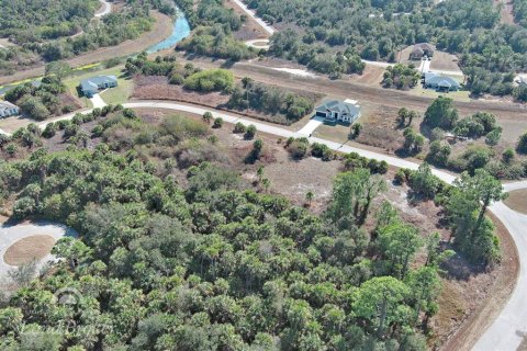 Land in North Port, Florida № 2163953 - photo 8