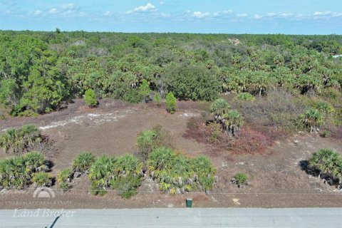Land in North Port, Florida № 2163953 - photo 3