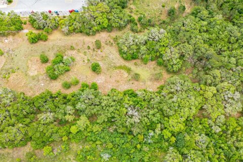 Terreno en venta en Bushnell, Florida № 2098579 - foto 20