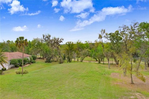 Terreno en venta en Dade City, Florida № 1539953 - foto 2