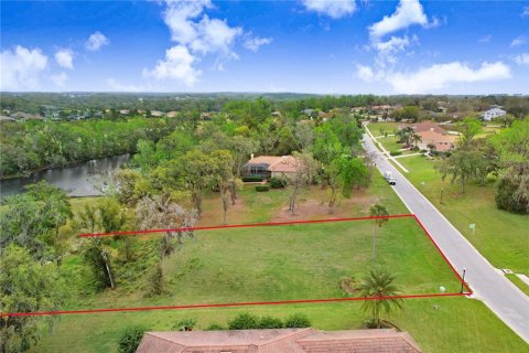 Terreno en venta en Dade City, Florida № 1539953 - foto 5