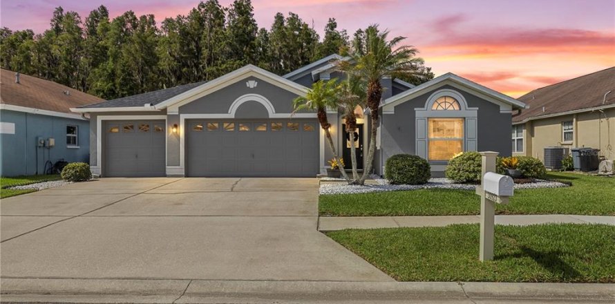 House in Wesley Chapel, Florida 3 bedrooms, 195.19 sq.m. № 2230699