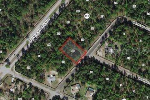 Land in Dunnellon, Florida № 2161141 - photo 2