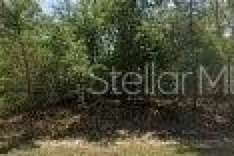 Land in Dunnellon, Florida № 2161141