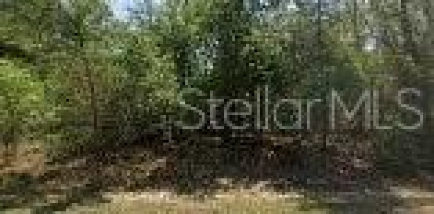 Land in Dunnellon, Florida № 2161141