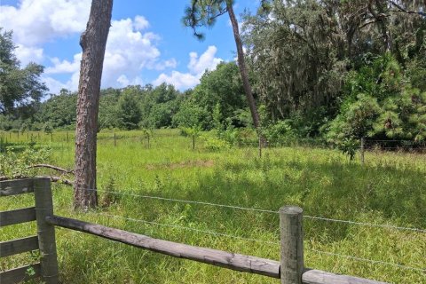 Terrain à Bushnell, Floride № 2209926