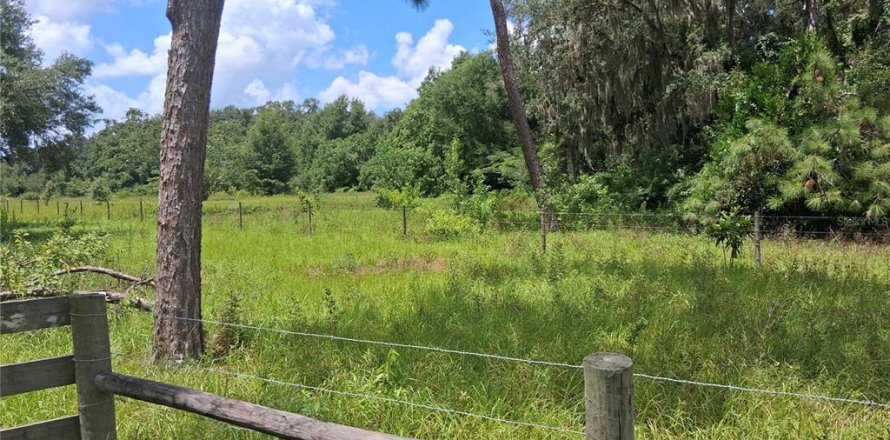 Terrain à Bushnell, Floride № 2209926