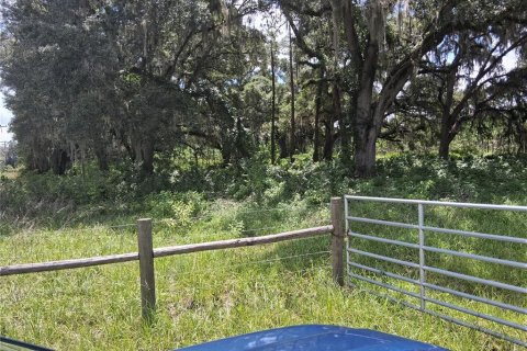 Terrain à vendre à Bushnell, Floride № 2209926 - photo 2