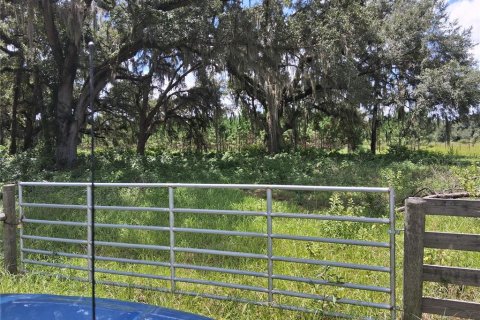 Terrain à vendre à Bushnell, Floride № 2209926 - photo 3