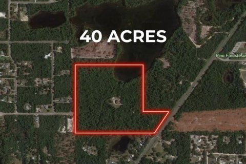 Casa en venta en Eustis, Florida, 5 dormitorios, 334.45 m2 № 1625504 - foto 5