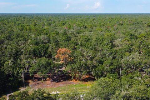 Terreno en venta en Spring Hill, Florida № 1880858 - foto 15