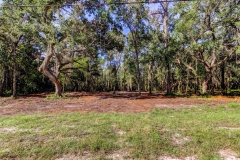 Terreno en venta en Spring Hill, Florida № 1880858 - foto 6