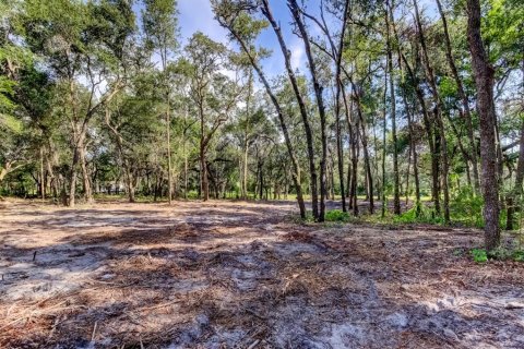 Terreno en venta en Spring Hill, Florida № 1880858 - foto 4