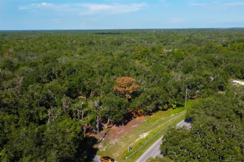 Terreno en venta en Spring Hill, Florida № 1880858 - foto 17