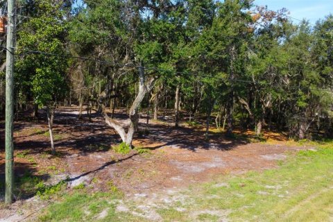 Terreno en venta en Spring Hill, Florida № 1880858 - foto 8