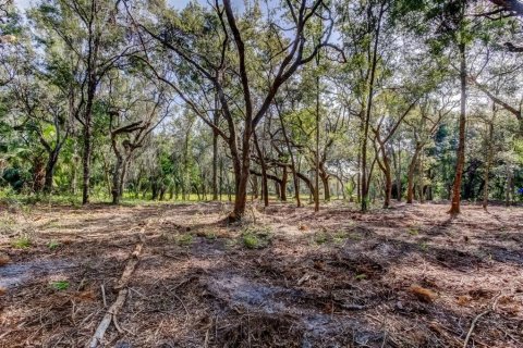 Terreno en venta en Spring Hill, Florida № 1880858 - foto 2