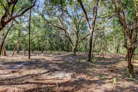 Terreno en venta en Spring Hill, Florida № 1880858 - foto 1