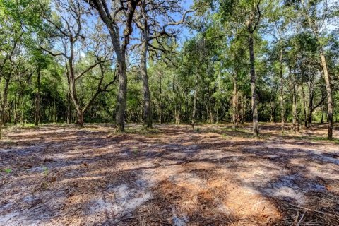 Terreno en venta en Spring Hill, Florida № 1880858 - foto 3