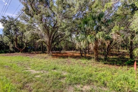 Terreno en venta en Spring Hill, Florida № 1880858 - foto 7