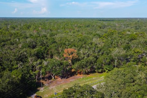 Terreno en venta en Spring Hill, Florida № 1880858 - foto 16