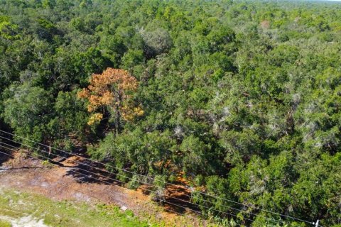 Terreno en venta en Spring Hill, Florida № 1880858 - foto 11