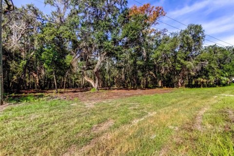 Terreno en venta en Spring Hill, Florida № 1880858 - foto 5