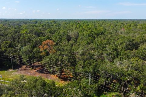 Terreno en venta en Spring Hill, Florida № 1880858 - foto 13
