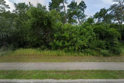 Terrain à vendre à Deltona, Floride № 1681538 - photo 5