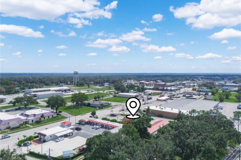 Immobilier commercial à vendre à Wauchula, Floride № 2406589 - photo 3