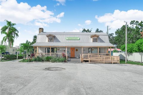 Immobilier commercial à Wauchula, Floride № 2406589