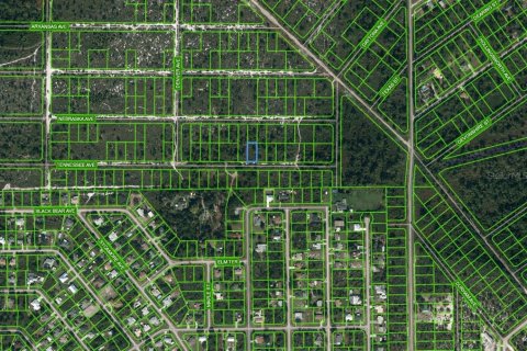 Land in Lake Placid, Florida № 2224158
