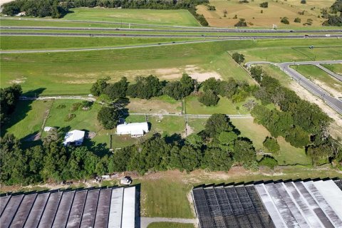 Land in Apopka, Florida № 1417692 - photo 8