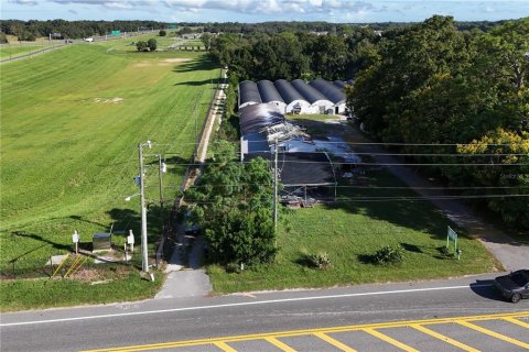 Land in Apopka, Florida № 1417692 - photo 5