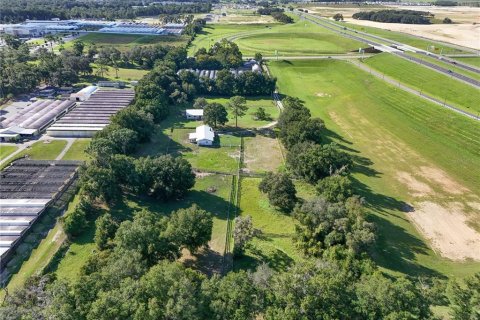 Land in Apopka, Florida № 1417692 - photo 18