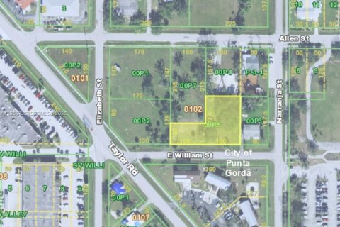 Immobilier commercial à vendre à Punta Gorda, Floride № 2022040 - photo 4