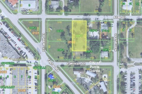 Immobilier commercial à vendre à Punta Gorda, Floride № 2022040 - photo 3