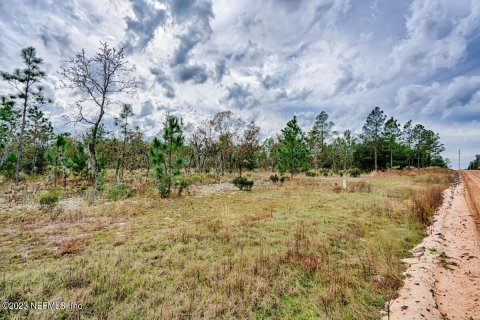 Land in Hawthorne, Florida № 869619 - photo 1