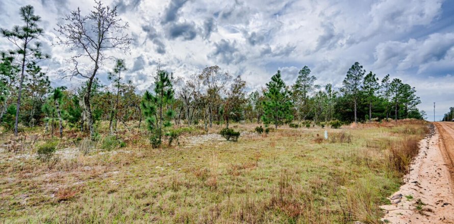 Land in Hawthorne, Florida № 869619