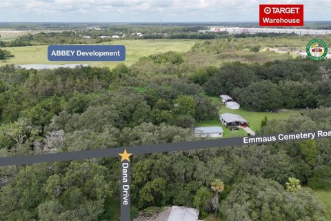 Terrain à vendre à San Antonio, Floride № 1904753 - photo 6