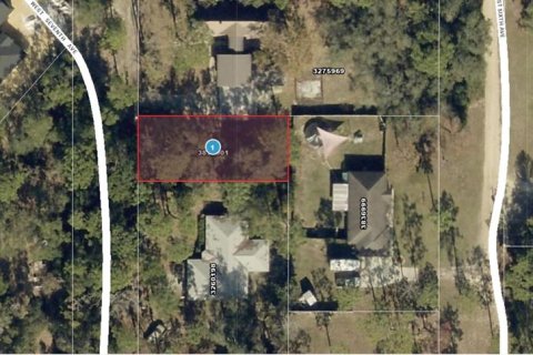 Land in Umatilla, Florida № 2159856 - photo 10