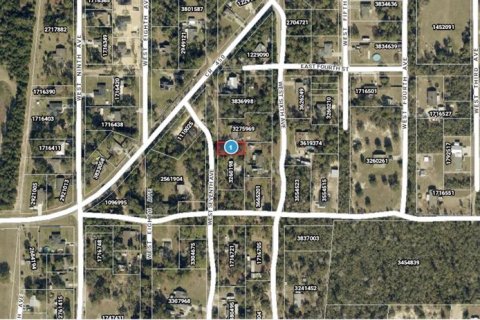 Land in Umatilla, Florida № 2159856 - photo 9