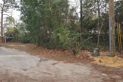 Land in Umatilla, Florida № 2159856 - photo 7