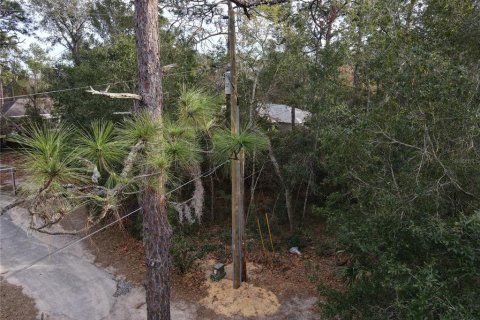 Land in Umatilla, Florida № 2159856 - photo 3