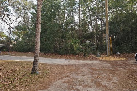 Land in Umatilla, Florida № 2159856 - photo 5