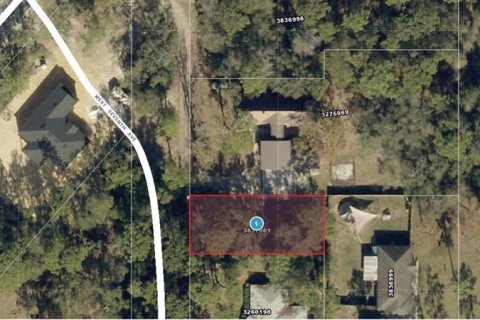 Land in Umatilla, Florida № 2159856 - photo 8