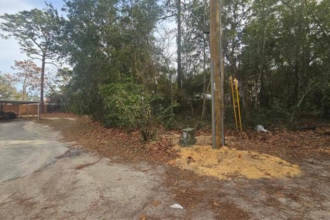 Land in Umatilla, Florida № 2159856
