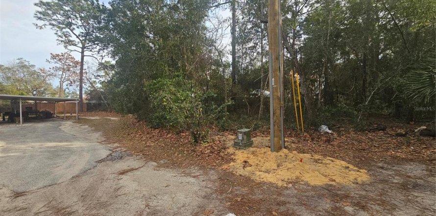 Land in Umatilla, Florida № 2159856