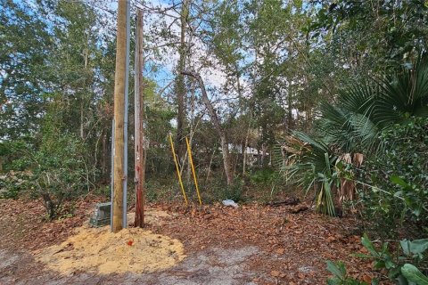 Land in Umatilla, Florida № 2159856 - photo 2